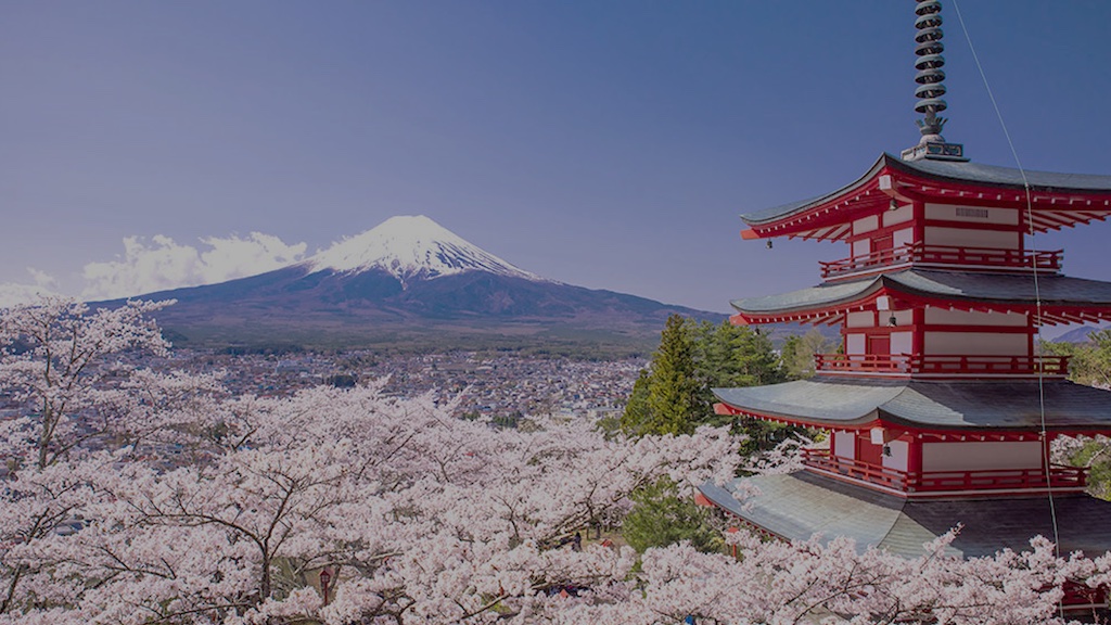 Hogan Assessments Certification (English) – Tokyo